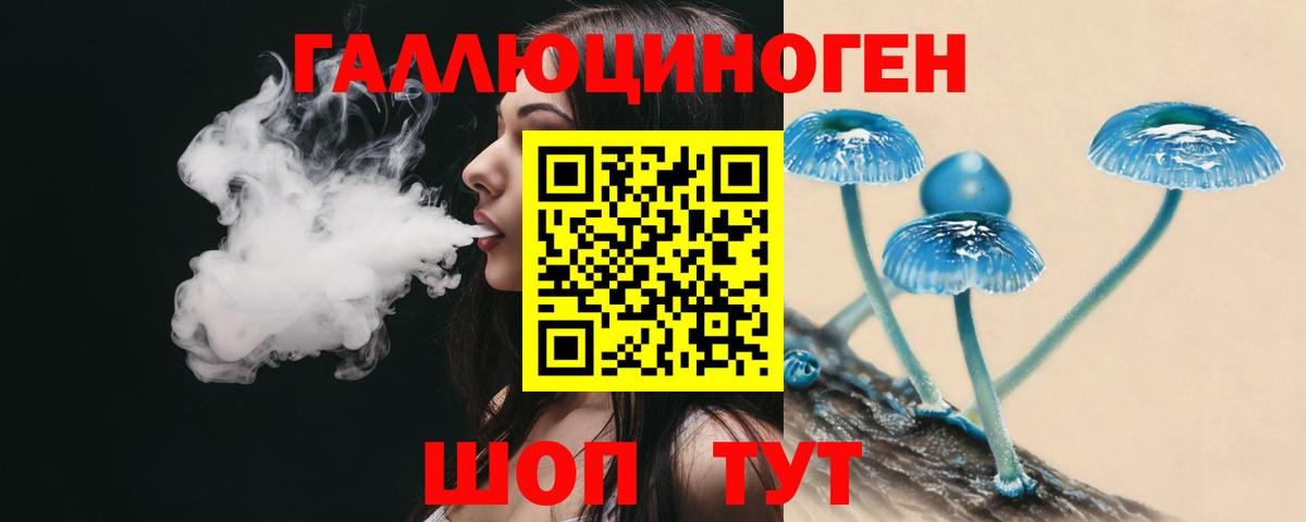 Галлюциногенные грибы Psilocybine cubensis  Вход с VPN  Кольчугино  Галлюциногенные грибы MAGIC MUSHROOMS 